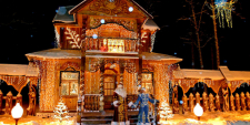 Новогодний экспресс: Путешествие в Беловежскую пущу к Деду Морозу из Витебска - Dream Tours